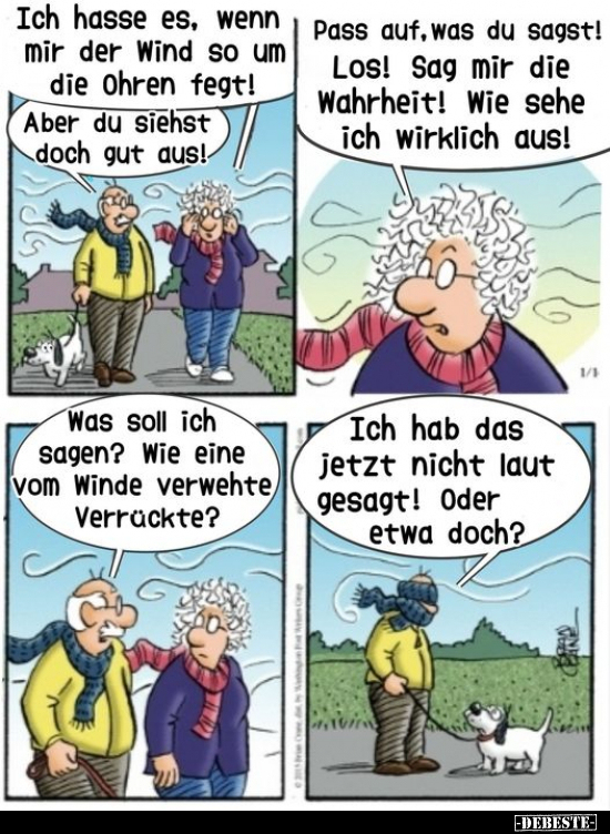 Ich hasse es, wenn mir der Wind so um die Ohren fegt!.. - Lustige Bilder | DEBESTE.de