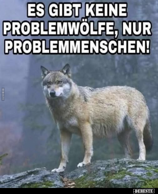 Es gibt keine Problemwölfe, nur Problemmenschen!