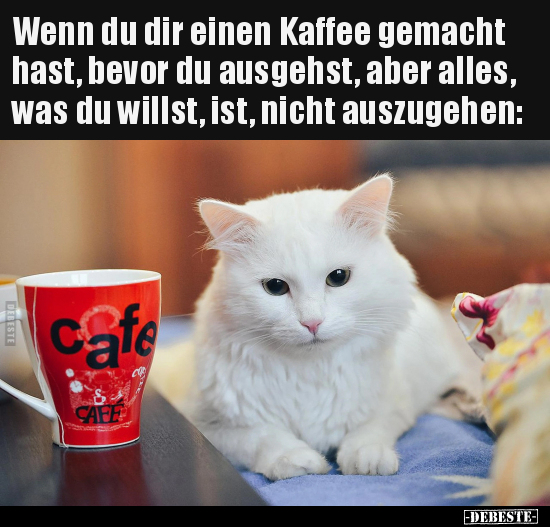 Wenn du dir einen Kaffee gemacht hast, bevor du ausgehst.. - Lustige Bilder | DEBESTE.de