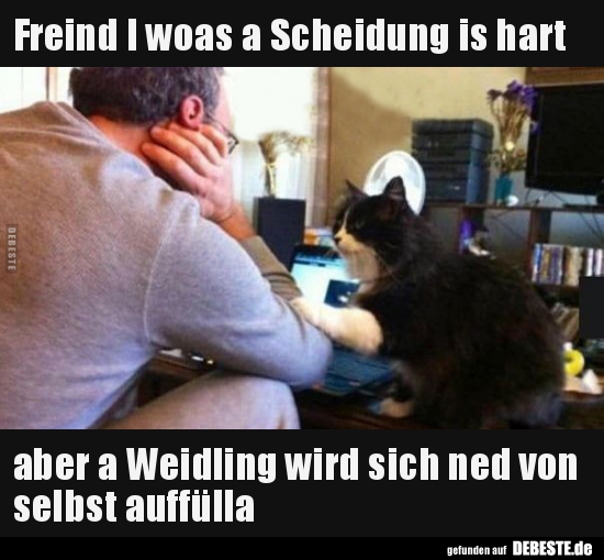 Freind I woas a Scheidung is hart aber a Weidling wird..