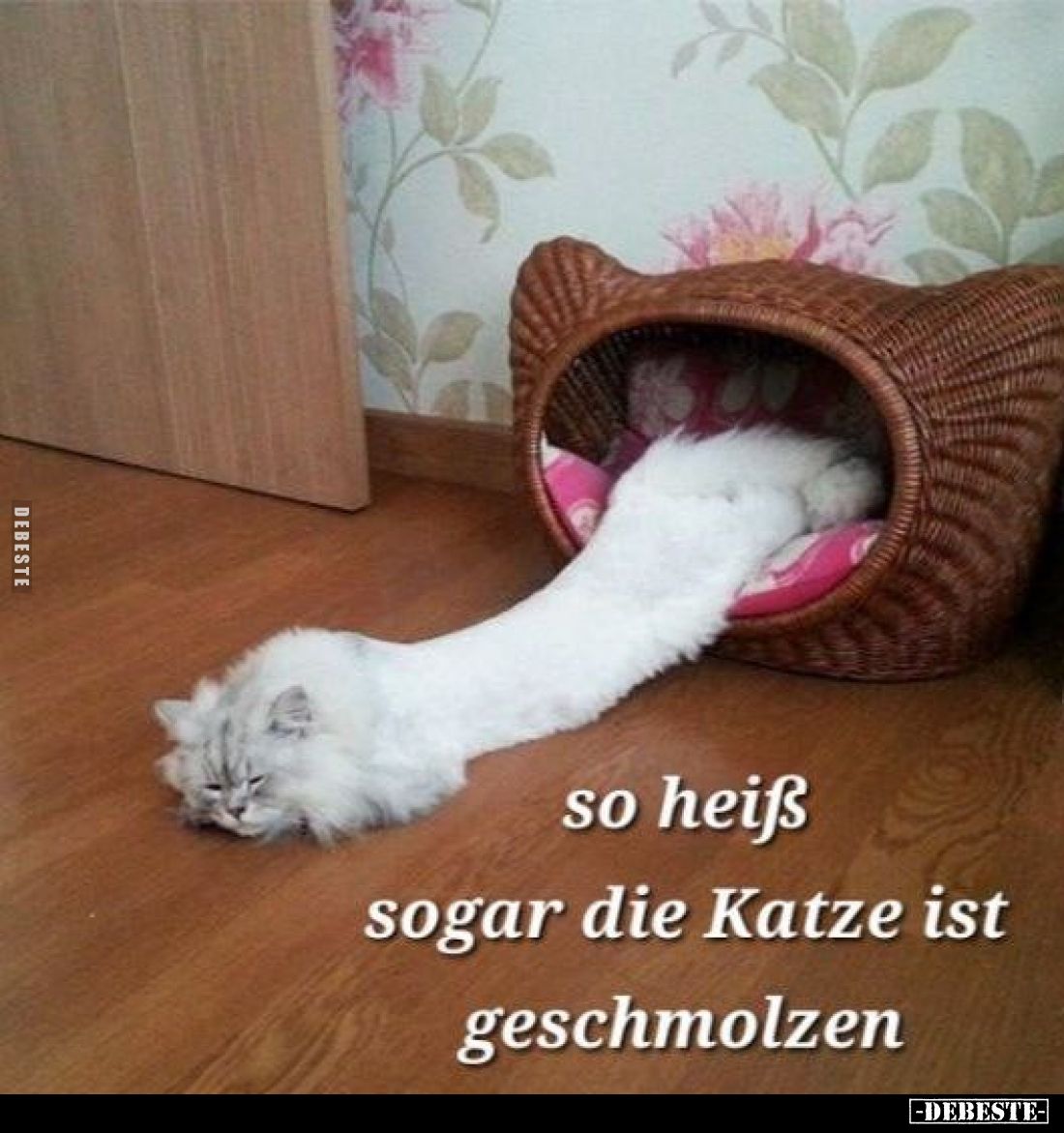 So heiß sogar die Katze ist geschmolzen.