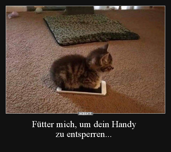 Fütter mich, um dein Handy zu entsperren... - Lustige Bilder | DEBESTE.de