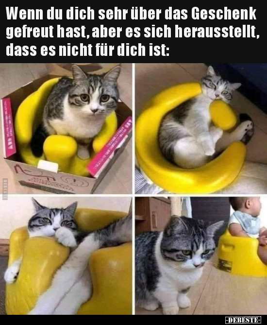 Wenn du dich sehr über das Geschenk gefreut hast, aber es.. - Lustige Bilder | DEBESTE.de