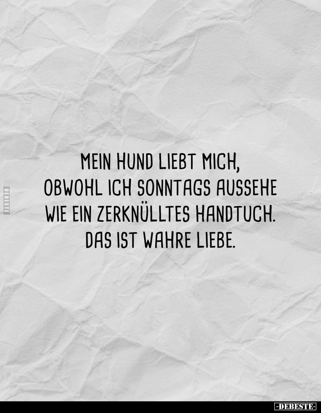 Mein Hund liebt mich, obwohl ich sonntags aussehe wie ein zerknülltes Handtuch. Das ist wahre Liebe.