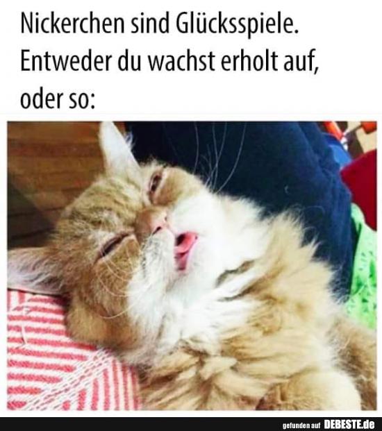 Nickerchen sind Glücksspiele..