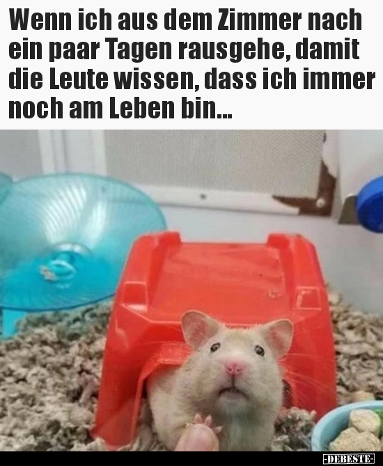 Wenn ich aus dem Zimmer nach ein paar Tagen rausgehe, damit..