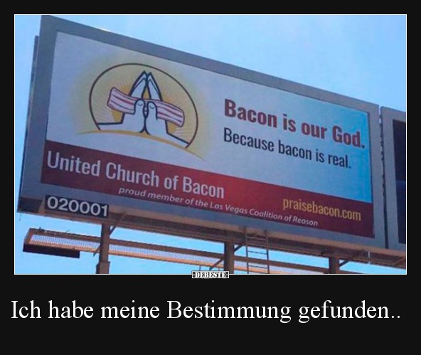 Ich habe meine Bestimmung gefunden..