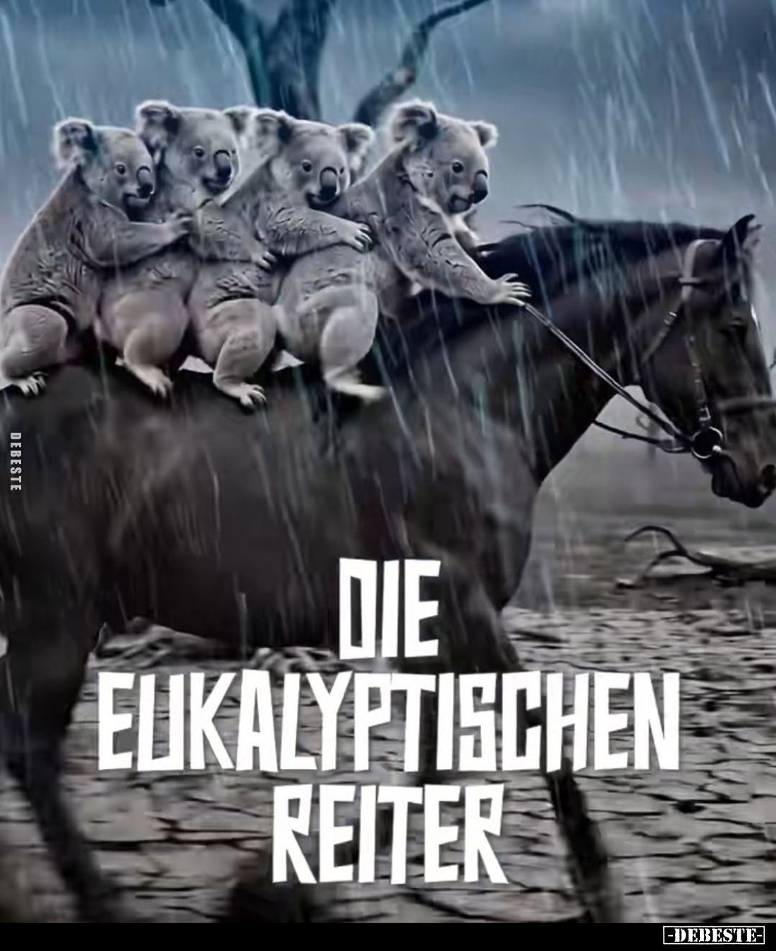 Die eukalyptischen Reiter.