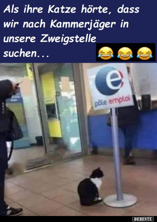 Als ihre Katze hörte, dass wir nach Kammerjäger in unsere.. - Lustige Bilder | DEBESTE.de