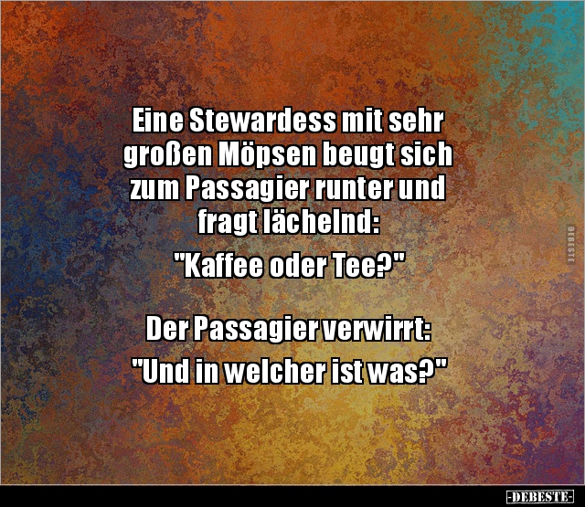 Eine Stewardess mit sehr großen Möpsen beugt sich zum.. - Lustige Bilder | DEBESTE.de