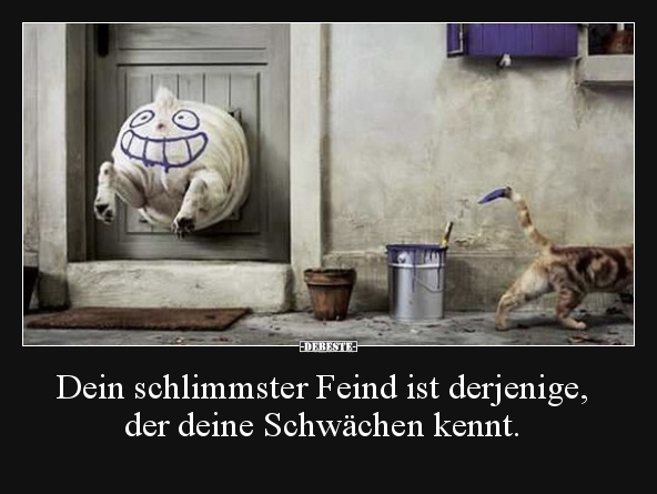 Dein schlimmster Feind ist derjenige, der deine Schwächen.. - Lustige Bilder | DEBESTE.de