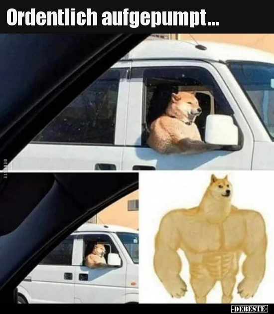 Ordentlich aufgepumpt...