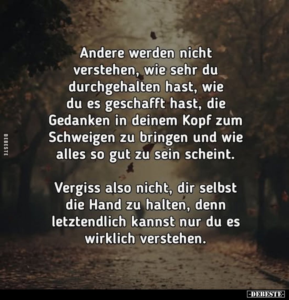 Andere werden nicht verstehen, wie sehr du durchgehalten hast, wie du es geschafft hast, die Gedanken in deinem Kopf zum Schw...