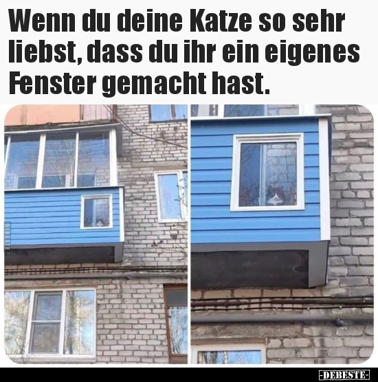 Wenn du deine Katze so sehr liebst, dass du ihr ein eigenes.. - Lustige Bilder | DEBESTE.de