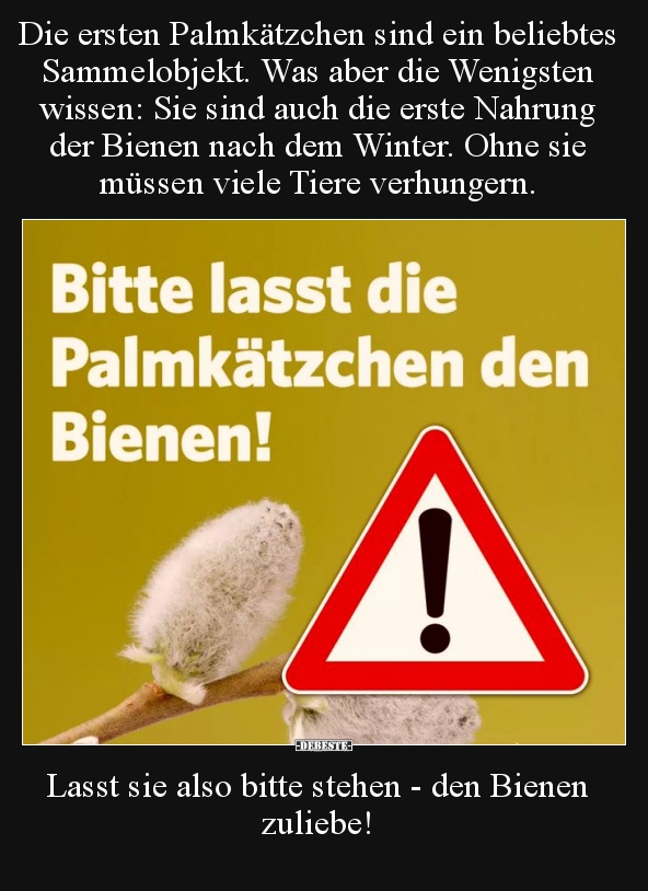 Die ersten Palmkätzchen sind ein beliebtes Sammelobjekt... - Lustige Bilder | DEBESTE.de