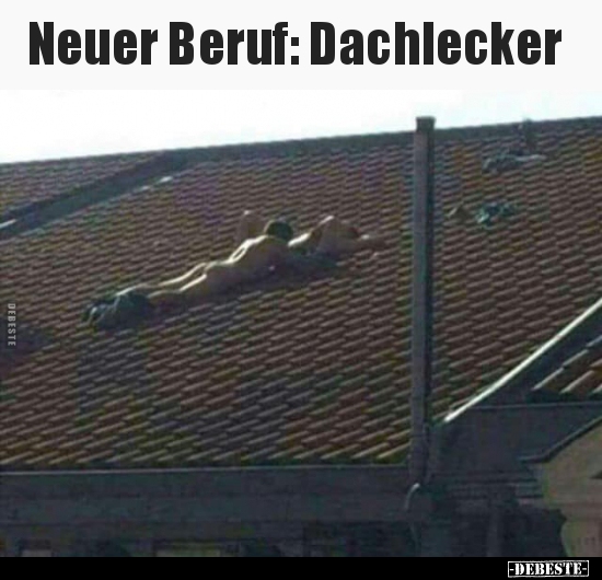 Neuer Beruf: Dachlecker.