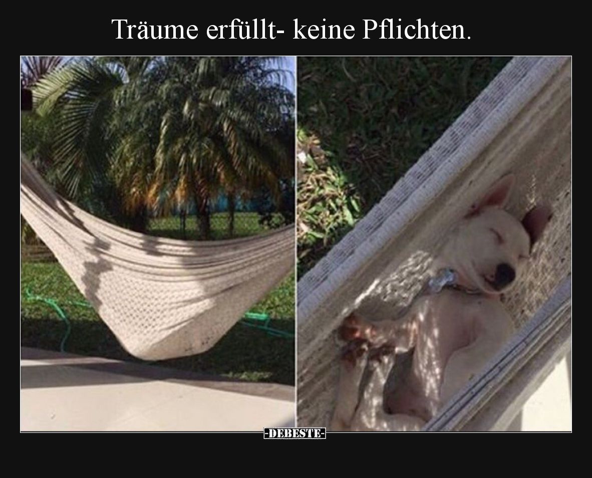 Träume erfüllt- keine Pflichten