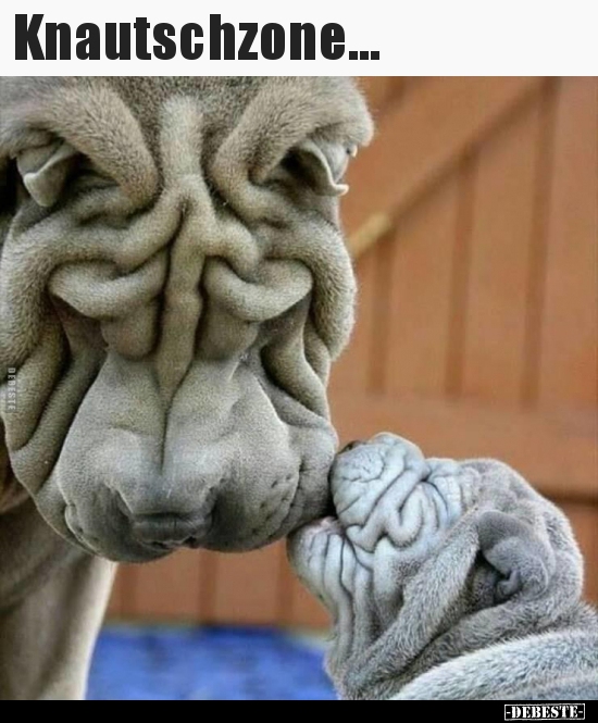 Knautschzone...