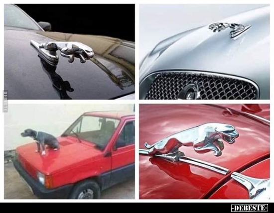  - Lustige Bilder | DEBESTE.de