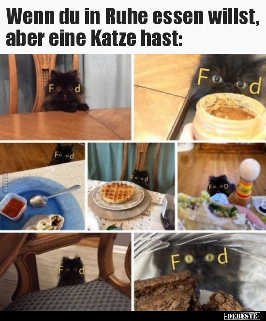 Wenn du in Ruhe essen willst, aber eine Katze hast.. - Lustige Bilder | DEBESTE.de