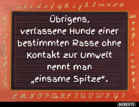 Übrigens, verlassene Hunde.. - Lustige Bilder | DEBESTE.de