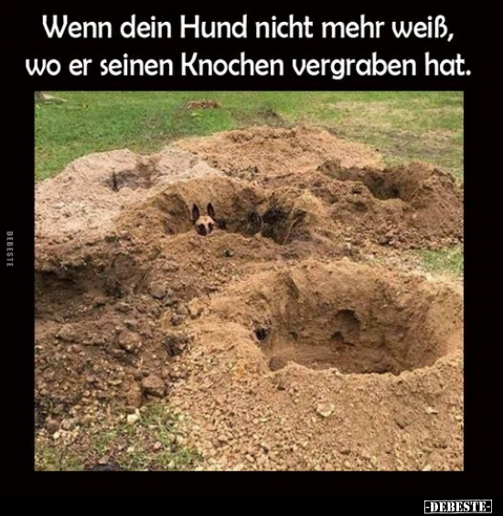 Wenn dein Hund nicht mehr weiß, wo er seinen Knochen.. - Lustige Bilder | DEBESTE.de