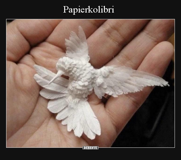 Papierkolibri.. - Lustige Bilder | DEBESTE.de