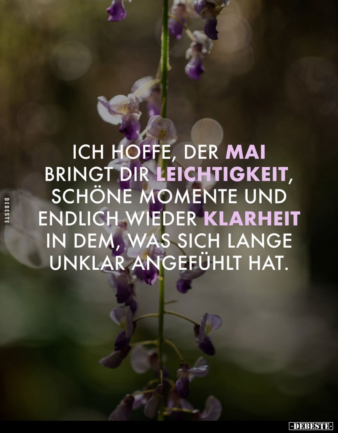 Ich hoffe, der Mai bringt dir Leichtigkeit, schöne Momente und endlich wieder Klarheit in dem, was sich lange unklar angefühl...