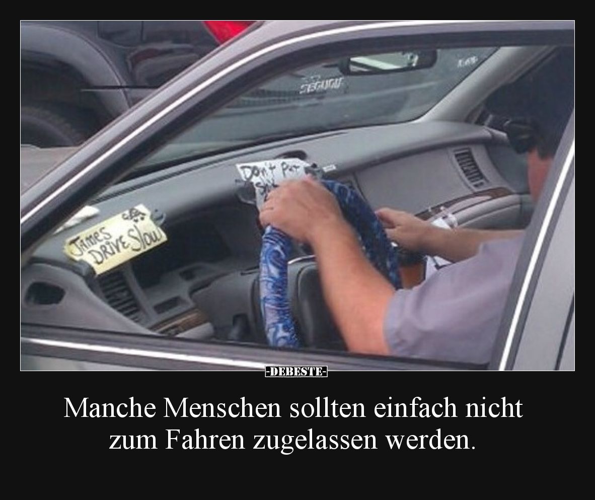 Manche Menschen sollten einfach nicht zum Fahren zugelassen werden.