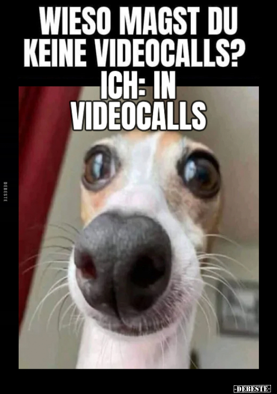 Wieso magst du keine Videocalls?.. - Lustige Bilder | DEBESTE.de