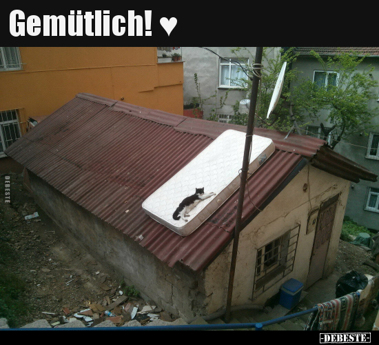 Gemütlich..