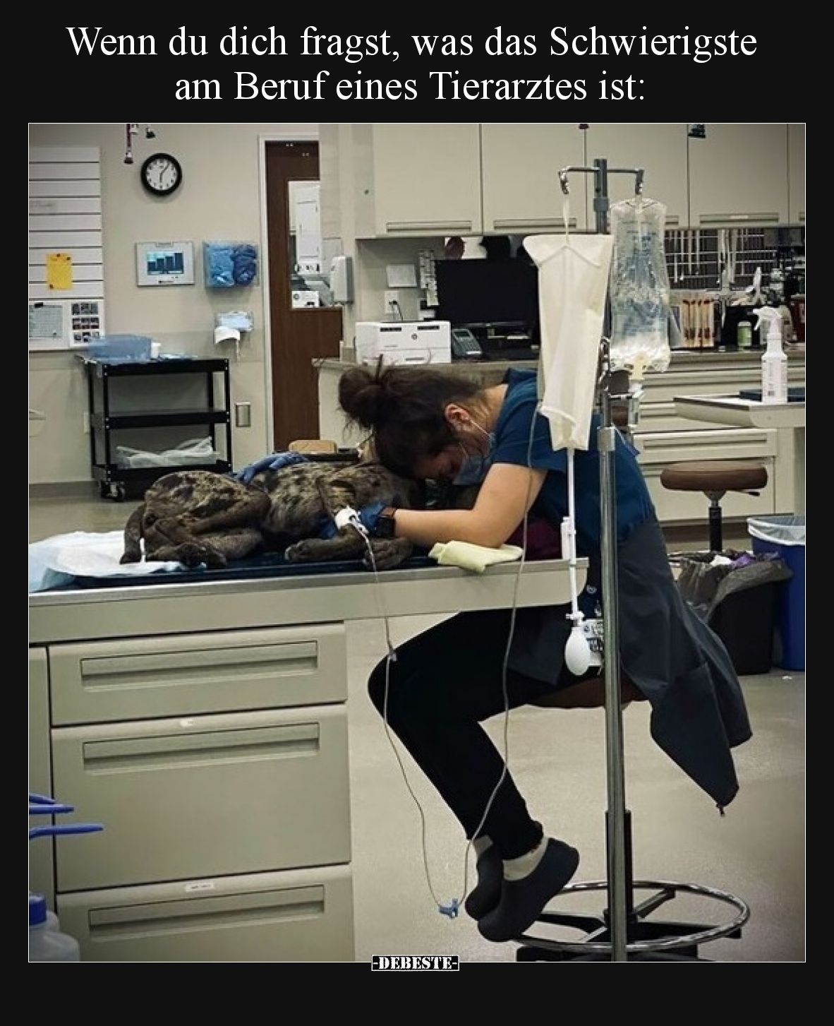 Wenn du dich fragst, was das Schwierigste am Beruf eines Tierarztes ist:
