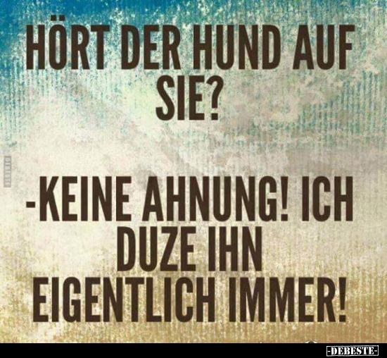 Hört der Hund auf sie?