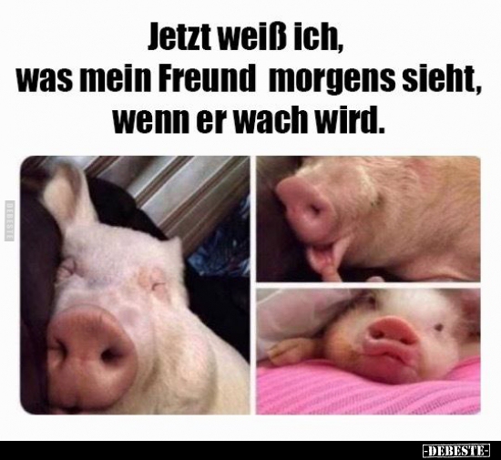 Jetzt weiß ich, was mein Freund morgens sieht, wenn er wach..