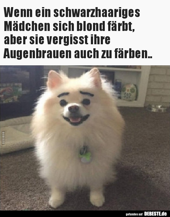 Wenn ein schwarzhaariges Mädchen sich blond färbt, aber.. - Lustige Bilder | DEBESTE.de