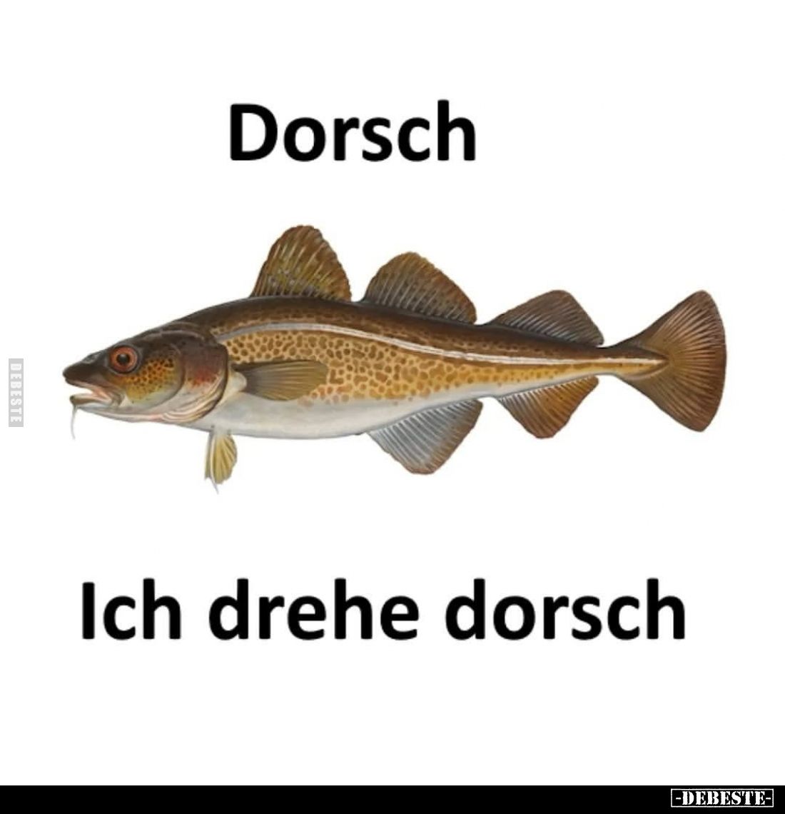Dorsch. Ich drehe dorsch.