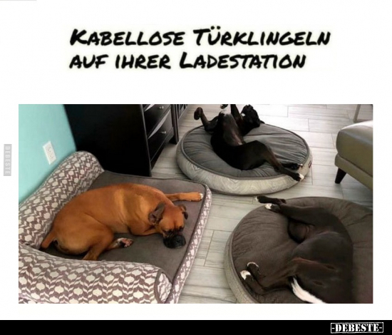 Kabellose Türklingeln auf ihrer Ladestation... - Lustige Bilder | DEBESTE.de