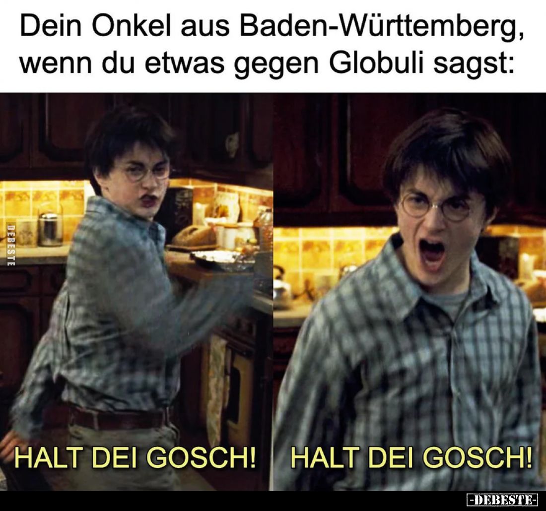 Dein Onkel aus Baden-Württemberg, wenn du etwas gegen Globuli sagst:

HALT DEI GOSCH! HALT DEI GOSCH!
Odpowiedzi wygenerow...