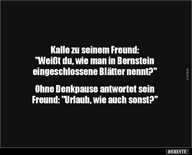 Kalle zu seinem Freund: "Weißt du, wie man in.." - Lustige Bilder | DEBESTE.de