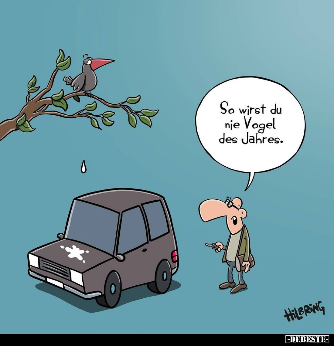 So wirst du nie Vogel des Jahres.