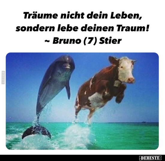 Träume nicht dein Leben, sondern lebe deinen Traum!.. - Lustige Bilder | DEBESTE.de