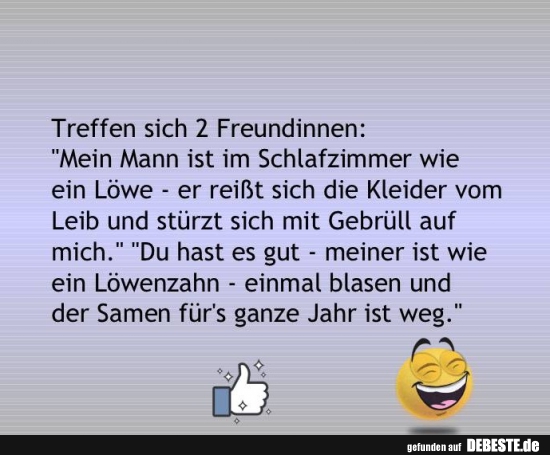 Treffen sich 2 Freundinnen..