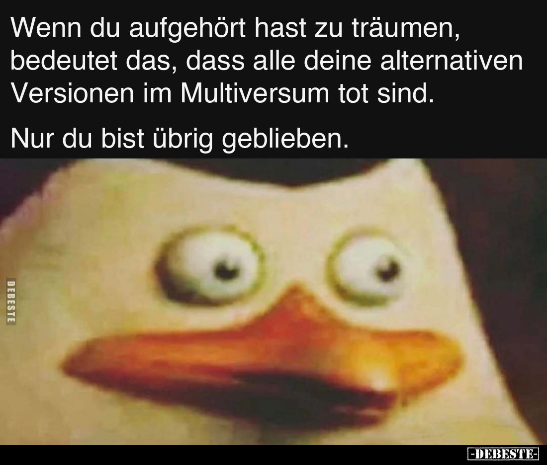 Wenn du aufgehört hast zu träumen, bedeutet das, dass alle deine alternativen Versionen im Multiversum tot sind. 
Nur du bis...