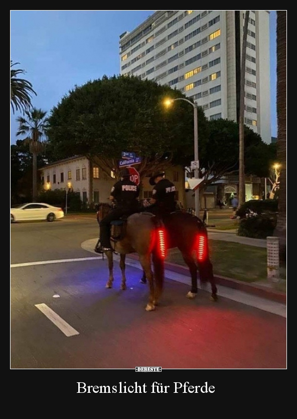 Bremslicht für Pferde..