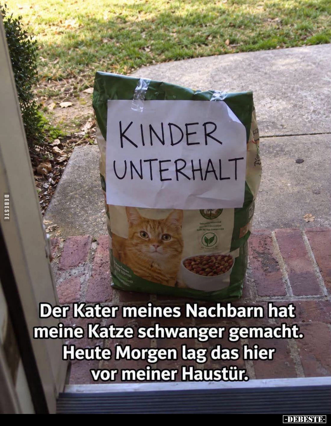 Der Kater meines Nachbarn hat meine Katze schwanger gemacht.
Heute Morgen lag das hier vor meiner Haustür.