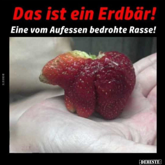 Das ist ein Erdbär!.. - Lustige Bilder | DEBESTE.de