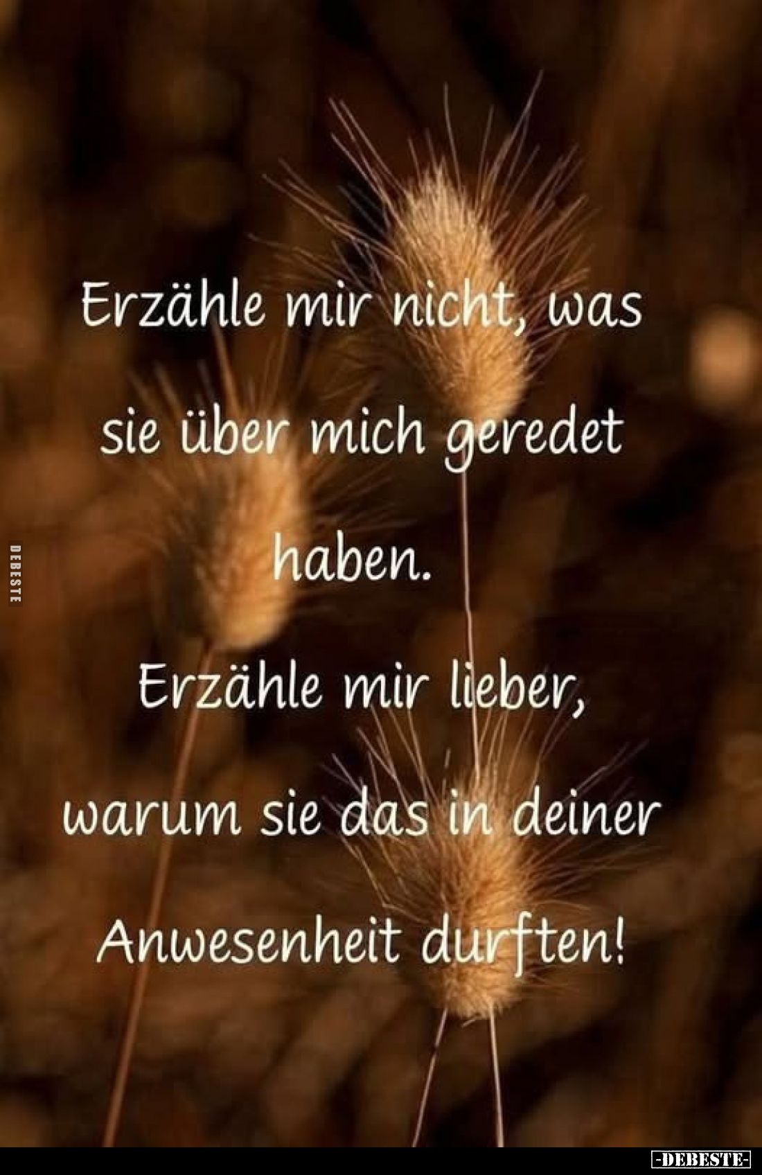 Erzähle mir nicht, was sie über mich geredet haben. Erzähle mir lieber, warum sie das in deiner Anwesenheit durften!