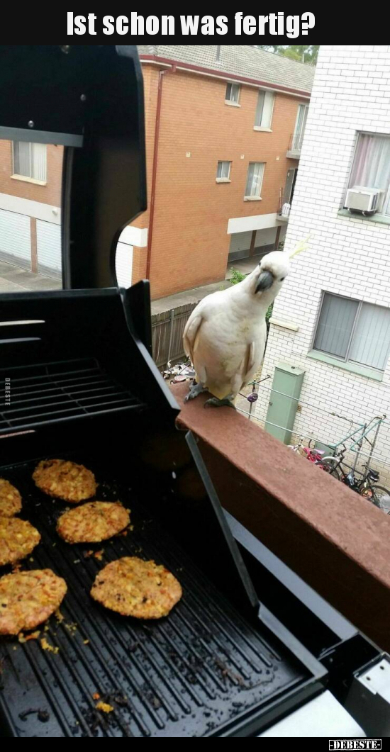 Ist schon was fertig?..