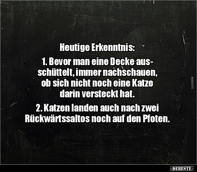 Heutige Erkenntnis: 1. Bevor man eine Decke ausschüttelt.. - Lustige Bilder | DEBESTE.de