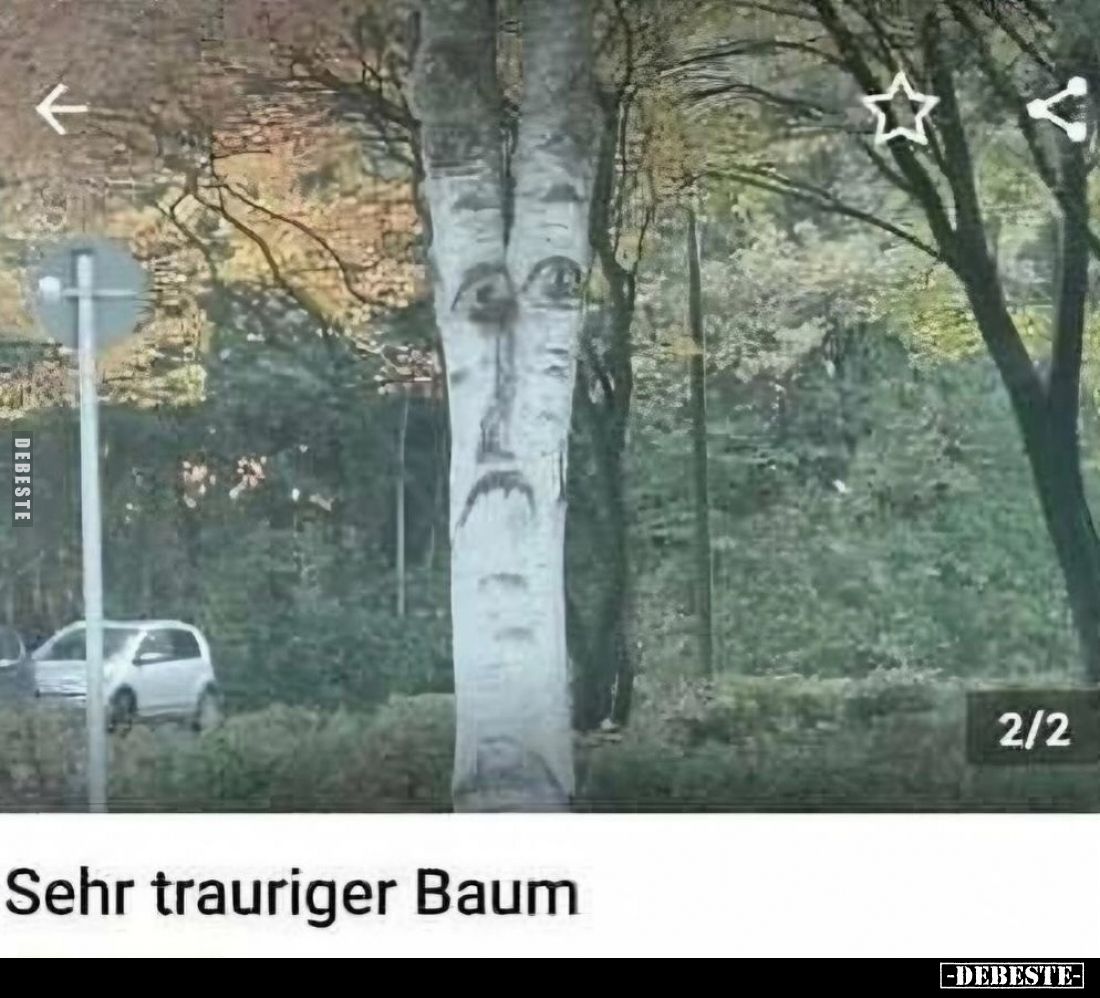 Sehr trauriger Baum..